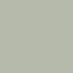 Light Mist colour swatch